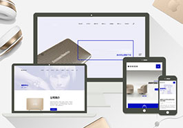 高端简洁响应式电子商务网站织梦网站建设模板（自适应手机端）