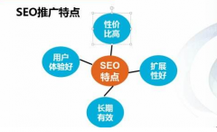 《SEO案例》做SEO其实与SEO经验是分不开