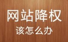 《SEO教程》怎样做好保护网站并对其进行修改