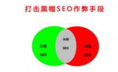 《SEO教程》如何针对网站首页链接做优化