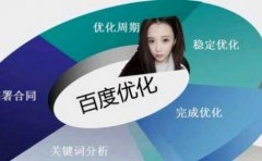 《SEO工具》排名优化的网站归于什么职业的网站