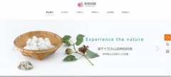 手机网站建设实用性