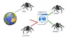 剖析SEO养蜘蛛攻略