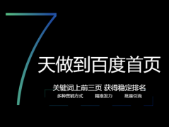 网站优化7天上首页技巧，值得每一位站长收藏