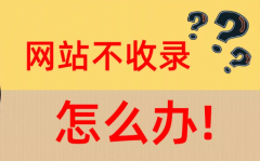 网站迟迟不收录怎么回事？