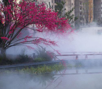 “雾景”与“雾森”的区别在哪里